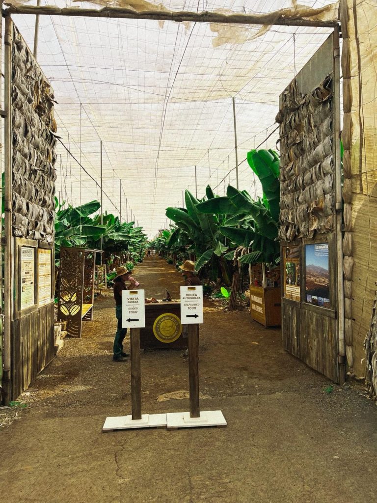 Inicio WhatsApp Image 2025 10 31 at 19.31.20 (2)