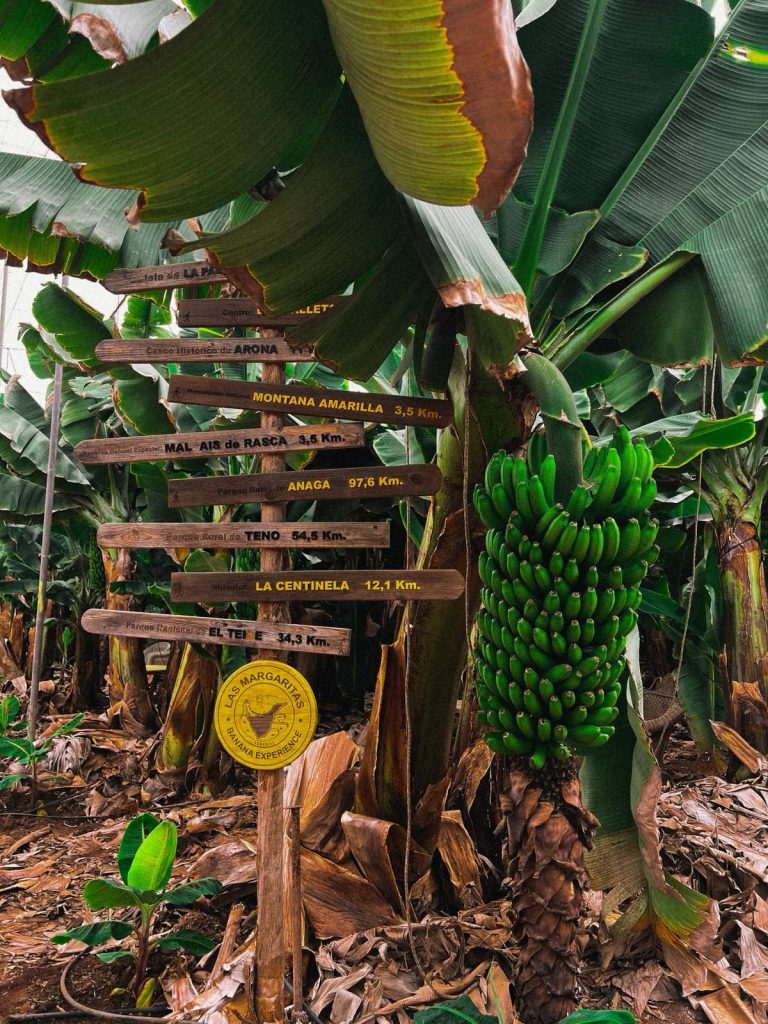 Inicio WhatsApp Image 2025 10 31 at 19.31.20 (3)