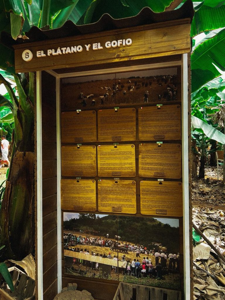 Inicio WhatsApp Image 2025 10 31 at 19.31.20 (4)